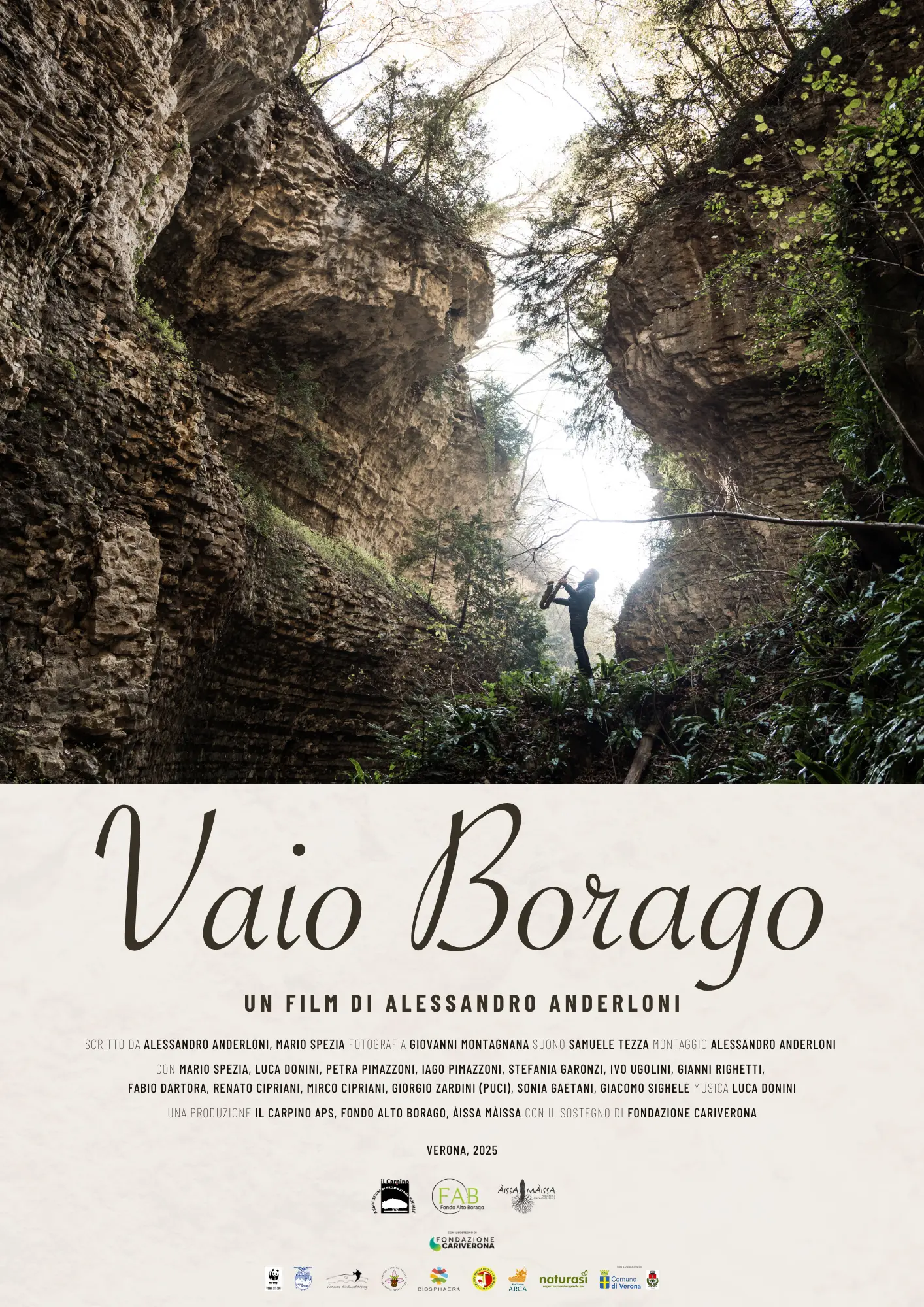 Locandina del film vaio borago